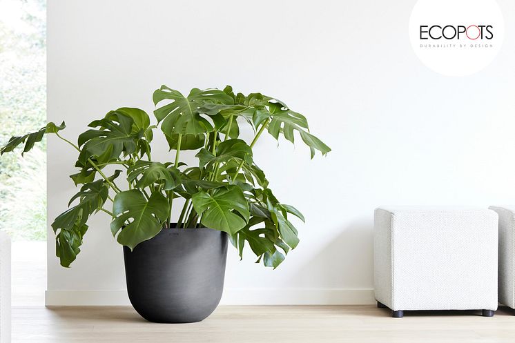 Ecopots Oslo