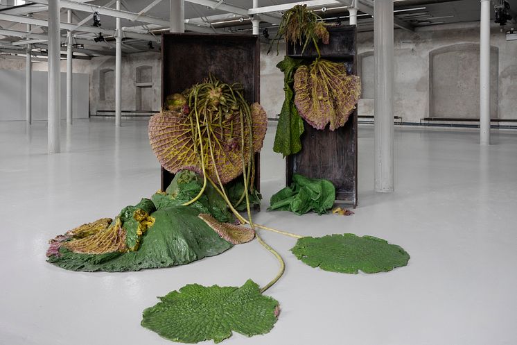 Body of Medusa. Roland Persson (2025).