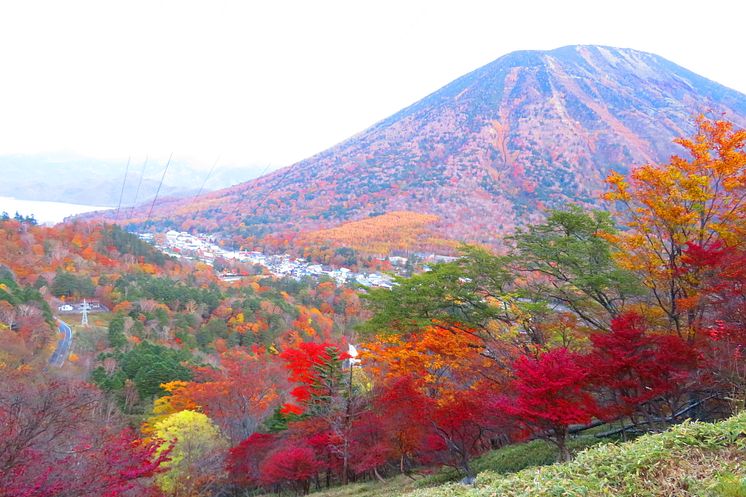 Explore Nikko’s Autumn Top Three Must-Visit Spots with TOBU Railway