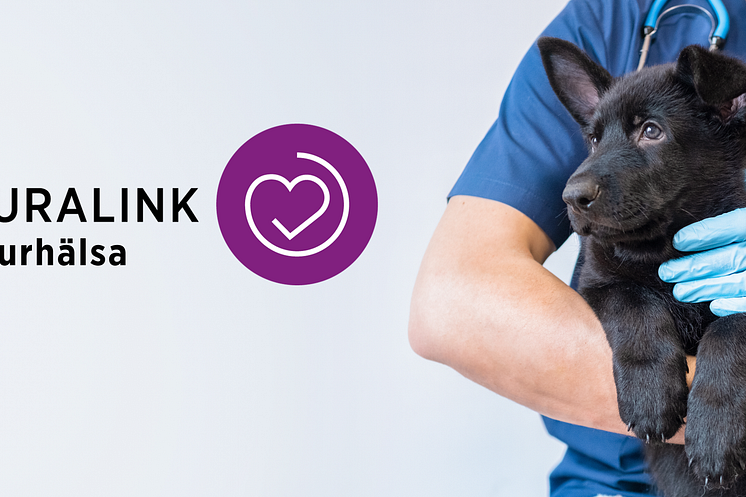 Sveland blir första djurförsäkringsbolag att hänvisa kunder till veterinärvård via CAB Groups plattform Kuralink Djurhälsa.