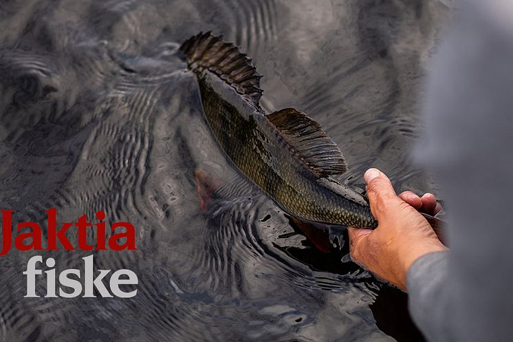 Jaktia storsatsar och startar  nya butikskedjan Jaktia Fiske