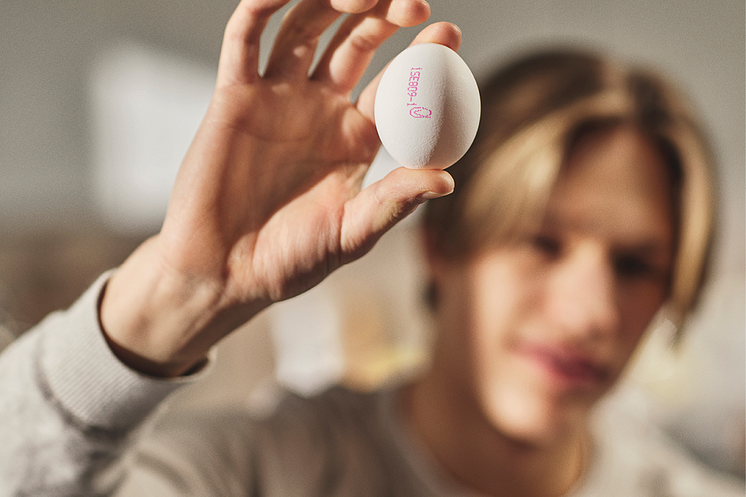 Branschorganisationen Svenska Ägg anser att alla borde äta minst ett ägg om dagen och menar att det behövs forskning kring hälsoeffekterna av att äta flera ägg om dagen.