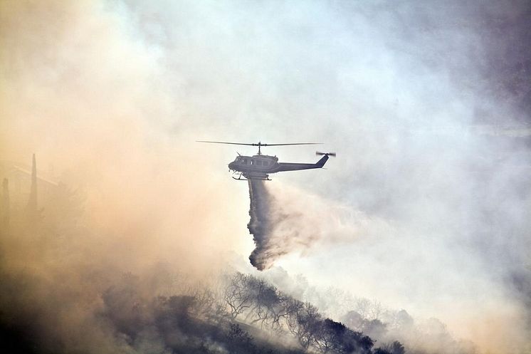 ﻿Global Risks Report 2025: Conflict, Environment and Disinformation Top Threats