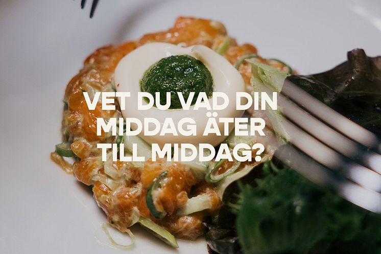 Urban Deli lanserar svenskodlad regnbågslax uppfödd på framtidens foder