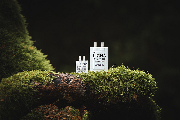 Ligna Energy släpper kompakt & bio-baserad superkondensator 