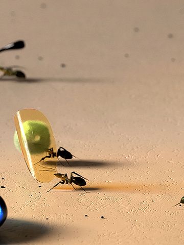 Det animerade verket Rehousing Technosphere av Wang & Söderström från 2022 kommer att visas i utställningen.
