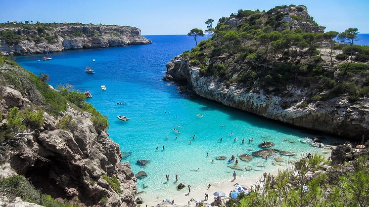 alltours bietet im Mai und Juni insgesamt vier Inforeisen nach Mallorca an.