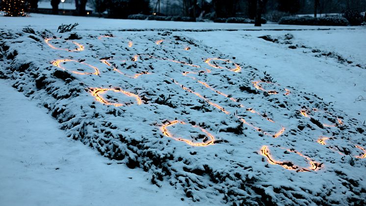 Kommunvapen plantering