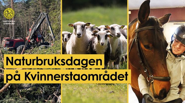 Naturbruksdagen på Kvinnerstaområdet 2024.