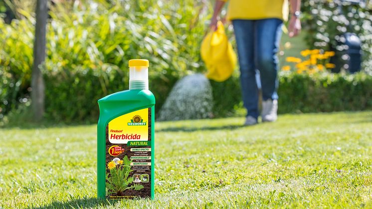 Haga frente al musgo en el césped de forma rápida y cuidadosa con el nuevo Finalsan® Herbicida NATURAL de Neudorff