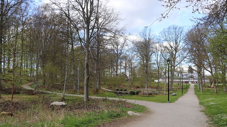 Tulseboda brunnspark vår