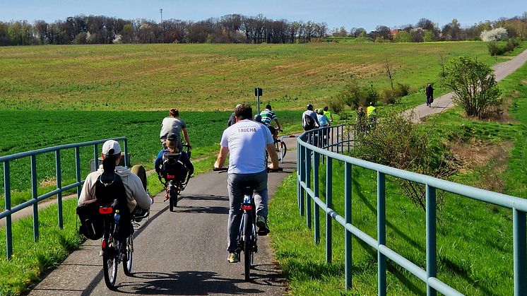 Natur genießen: Fahrt entlang der neuen Fahrradroute Sachsen-M - Foto: Christina Witt