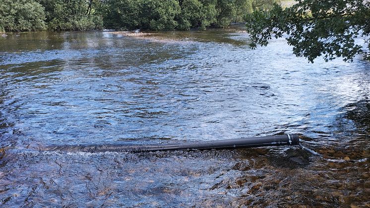 Miljøovervåking, Hølland bru