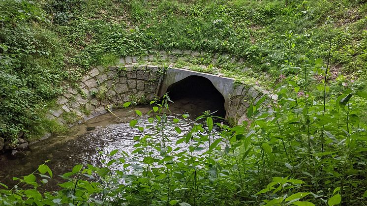 LEW Wasserkraft führt entlang der Donau in den Stauhaltungen Dillingen und Höchstädt Instandsetzungsmaßnahmen an Bachdurchlässen durch.