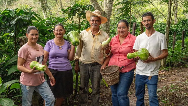 During 2023, ICP supported over 36,000 households in Brazil, Ethiopia, Honduras, and other coffee-producing countries.