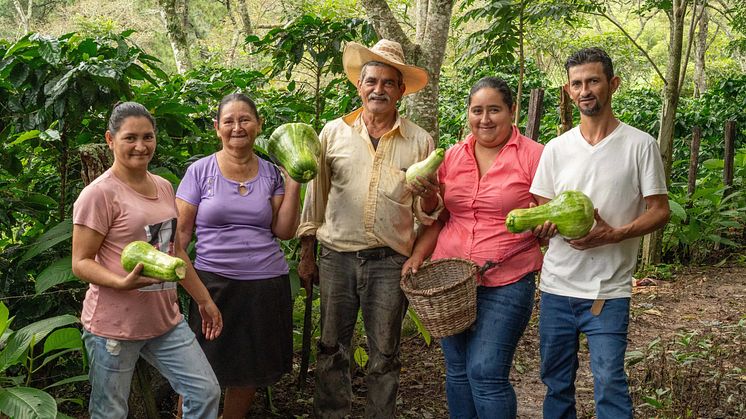 During 2023, ICP supported over 36,000 households in Brazil, Ethiopia, Honduras, and other coffee-producing countries.