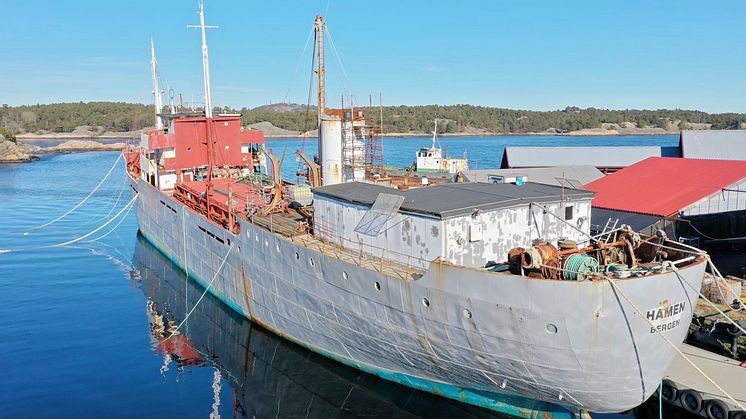 Det vernede lasteskipet MS Hamen som ligger i nødhavn på Bredalsholmen i Kristiansand, skal sikres med Zinga i sommer. 