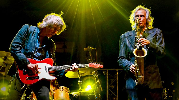 The Dire Straits Experience besöker Sverige i vår