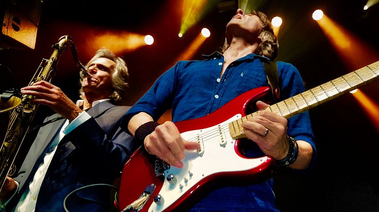 Dire Straits Experience