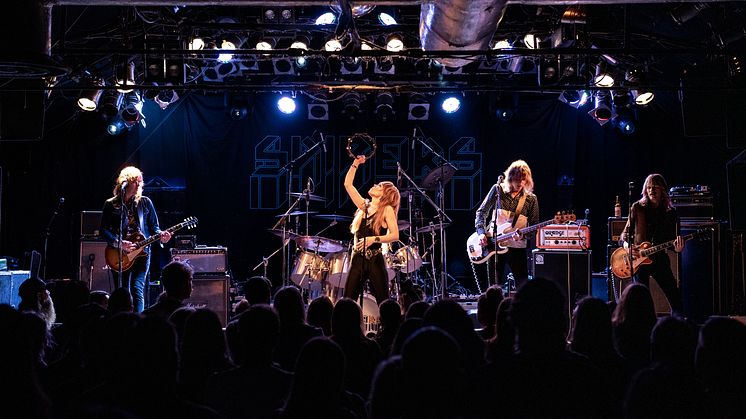 Spiders live 2019