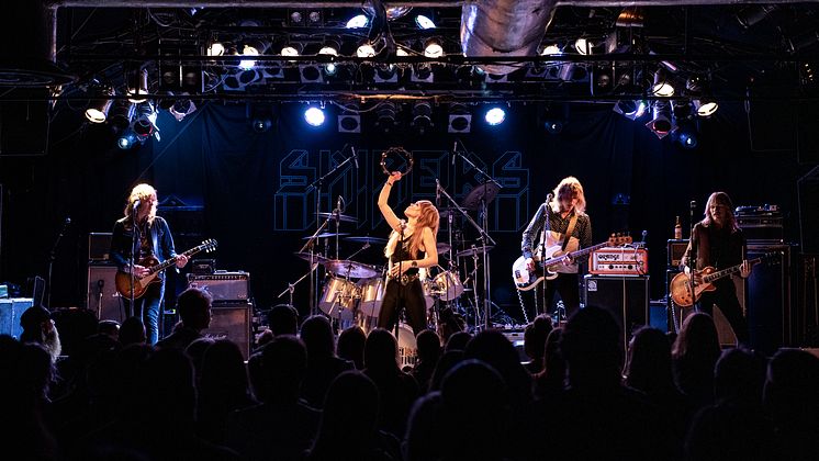Spiders live 2019