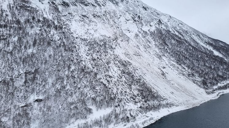 250 meter av fylkesveien langs Breisfjorden ble begravd av tunge snømasser. Store trær knakk som fyrstikker i januar i år. (Foto: Thomas Nystad)