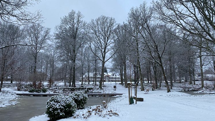 Tulseboda brunnspark vinter