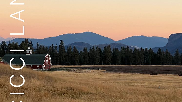 NY SINGEL. Cicci Landén släpper vackra "Montana", en låt som hämtat inspiration från storslagen natur och en känsla av frihet