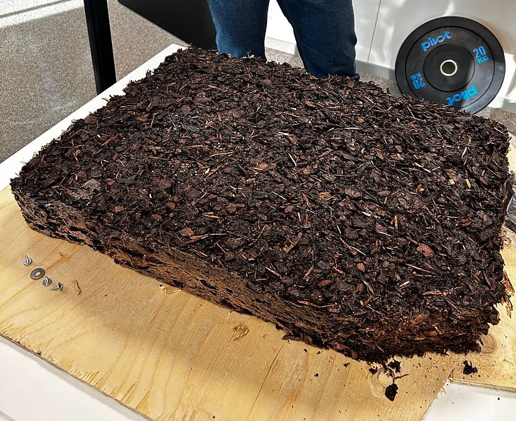 LekeBARK.jpg