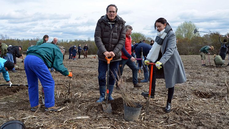 Waldmeisterschaft - Pflanzaktion im ehemaligen Tagebau Peres 