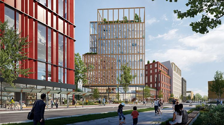Torget