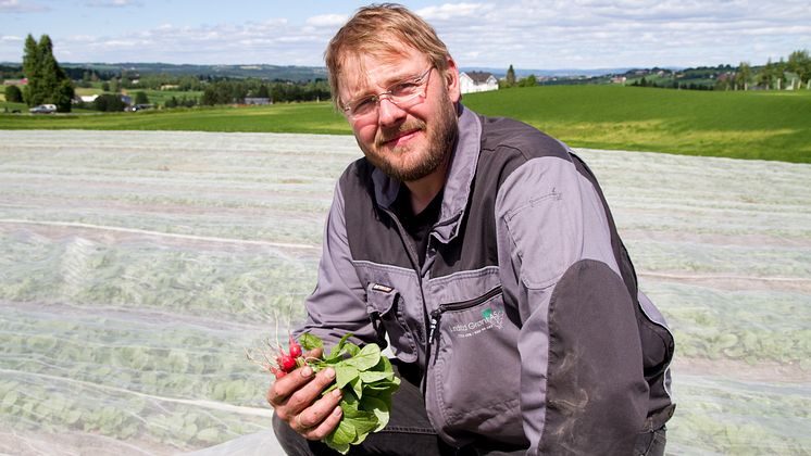 Einar Dyste