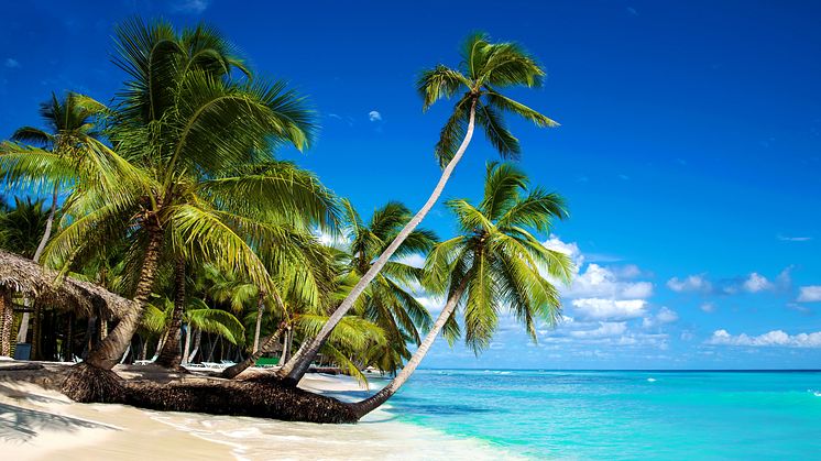 Die Dominikanische Republik gehört bei alltours mit zu den beliebtesten Winterreisezielen in der Karibik.
