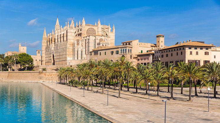 Mallorca steht bei Urlaubern und Reisebüroprofis gleichermaßen hoch im Kurs.