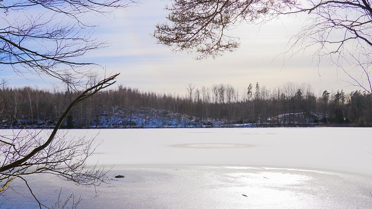 Halens naturreservat vinter