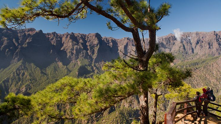 I nationalparken Caldera de Taburiente på La Palma bjuds det på storslagna vyer. Foto: Canary Islands Tourism.