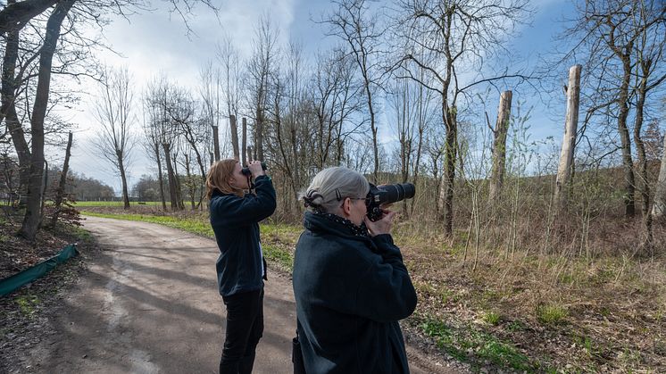 Ab Ende Januar sind im Auftrag der Bayernwerk Netz Umweltfachleute in den Landkreisen Kronach und Coburg unterwegs. Sie beobachten die Tier- und Pflanzenwelt in den Planungsräumen dreier Netzausbau-Vorhaben.