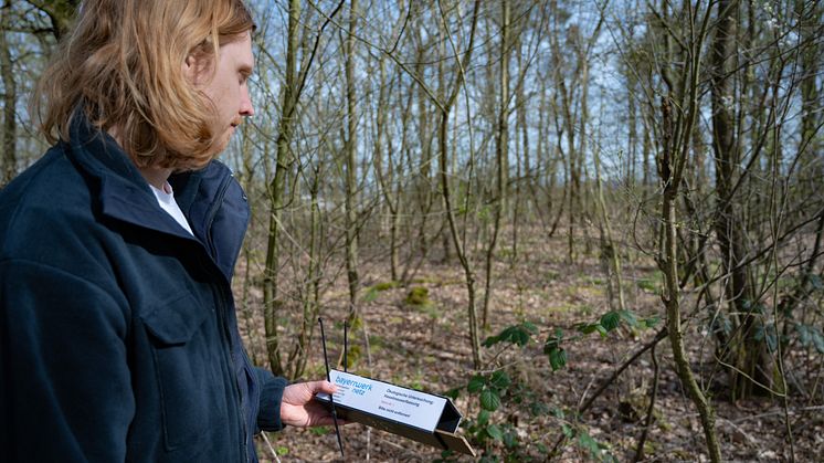 Im Auftrag der Bayernwerk Netz bringen Biologen Haselmaus-Röhren an Bäumen und Büschen rund um den Unterschleißheimer See an. Hier finden Haselmäuse Unterschlupf, sodass sie die Umweltexperten beobachten und zählen können.