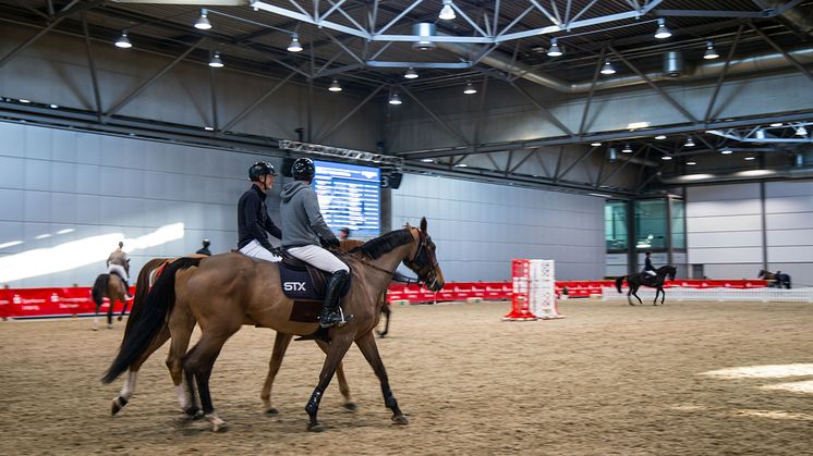 Pferde ganz nah auf der Partner Pferd in Leipzig - Foto: Elli Flint 