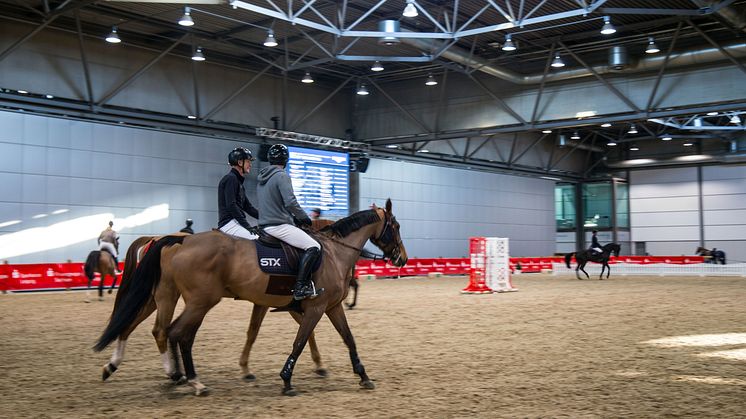 Pferde ganz nah auf der Partner Pferd in Leipzig - Foto: Elli Flint 