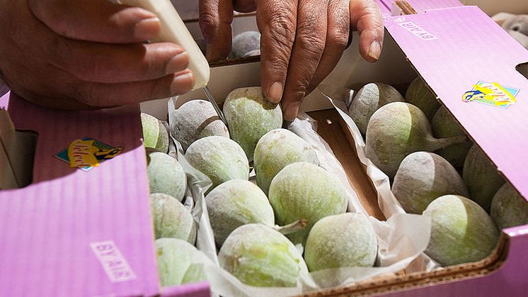 Fruit Logistica 2022: Lufthansa Cargo in diesem Jahr wieder als Aussteller vor Ort