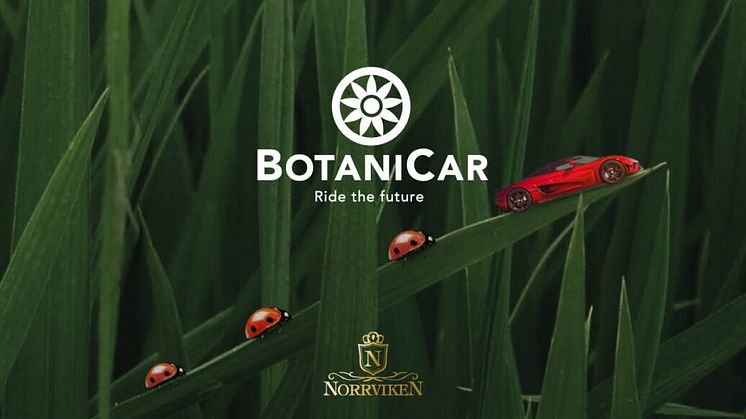 Botanicars_01-scaled