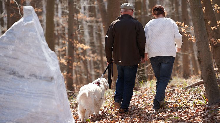 Natur- & Waldtierfriedhöfe von amicus bieten eine friedliche idyllische letzte Ruhestätte für das tierische Familienmitglied. ⒸLichtpunkt Fotografie – Katharina Wocelka