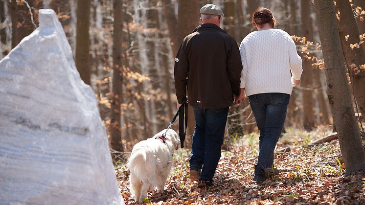 Natur- & Waldtierfriedhöfe von amicus bieten eine friedliche idyllische letzte Ruhestätte für das tierische Familienmitglied. ⒸLichtpunkt Fotografie – Katharina Wocelka
