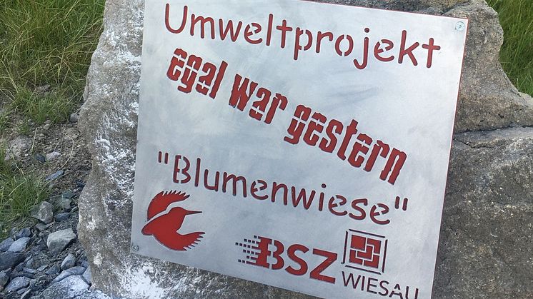 Bürgerenergiepreis Oberpfalz_BSZ Wiesau_Egal war gestern_Blumenwiese