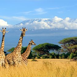 Eutelsat’s HOTBIRD position selected by Travel Africa Network to launch first HD African Travel Channel 
