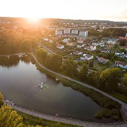 Näringsliv