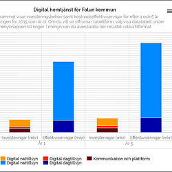 Rapporter