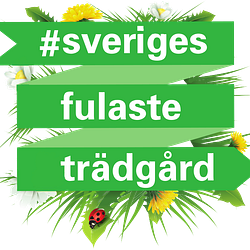 Sveriges fulaste trädgård