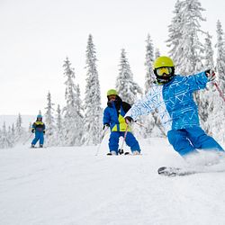 alla på snö